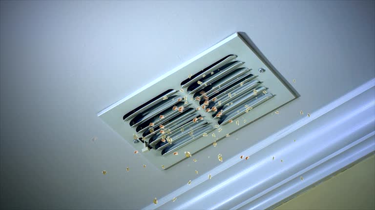 Best Air Duct Cleaning Near Me  in Monticello, GA